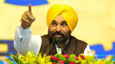 Punjab launches major crackdown on food adulteration: Over 5,000 kg paneer, 4,000 kg milk destroyed; legal action, seizures follow | India News