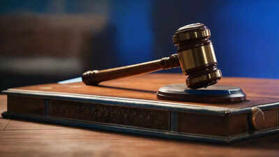 Calcutta HC commutes death sentence, says justice must not be ‘bloodthirsty’ | India News