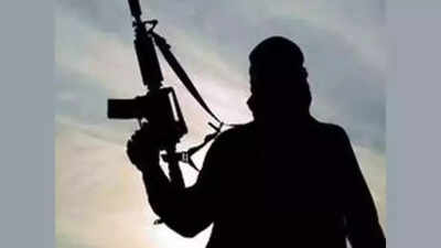 Hideout busted in J&K’s Kishtwar; arms, ammo seized | India News