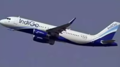 IndiGo penalised for ‘dirty seats’ on Baku-Delhi flight: Delhi consumer panel orders Rs 1.5 lakh for mental agony, Rs 25,000 litigation cost; says airline failed service duty | Delhi News