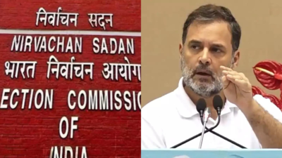 Give proof of vote fraud: 3 state CEOs to Rahul | India News