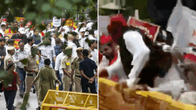 SIR row: High drama at opposition MPs’ march to EC; Akhilesh Yadav jumps barricade; Rahul Gandhi detained – Key points | India News