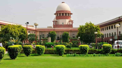 ‘No coercive action’: Big SC relief for owners of old vehicles in Delhi-NCR; issues notice | India News