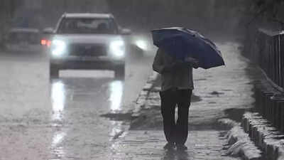 Heavy rains force school closure in 3 J&K districts | India News