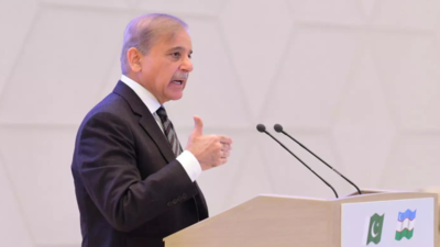 ‘Enemy can’t snatch even a single drop’: Pakistan PM Shehbaz joins Munir in sabre-rattling over Indus treaty; issues new threat