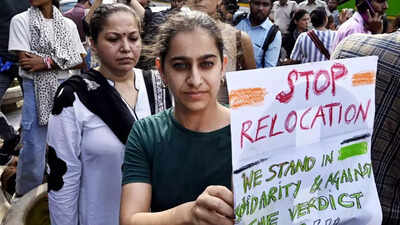 Delhi stray dogs issue: CJI refers matter to 3-judge bench of SC; hearing tomorrow | India News