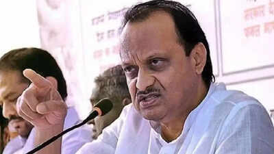 Wrong to ban meat sale in civic areas on Aug 15: Ajit Pawar | India News