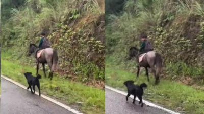 Watch: Meghalaya boy riding horse to school, faithful dog trots along; video melts hearts | India News