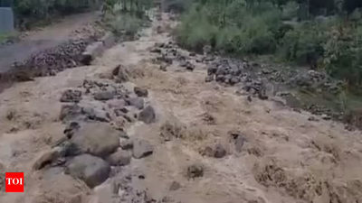 Massive cloudburst in J&K’s Kishtwar: 10 feared dead; Union minister Jitendra Singh reviews rescue efforts | Jammu News