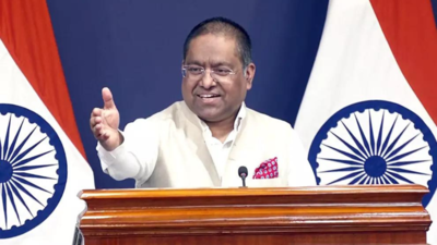 ‘Imputations, misrepresentations’: India rejects US human rights report; calls it ‘one-sided projections’ | India News