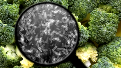 Broccoli botulism outbreak: Woman describes how she survived from a deadly snack that killed two others |