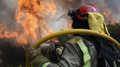 A cruel summer as record wildfires scorch Europe | World News
