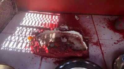 70-year-old statue of Hanuman stolen from Fiji temple, idol was cemented to the floor