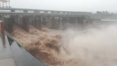 Yamuna in spate: Hathnikund barrage releases over 1.78 lakh cusecs of water, Delhi on flood alert | India News