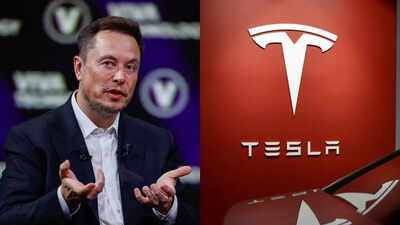 Elon Musk issues a stark warning after senior Tesla VP sells 82% shares: ‘They will be obliterated…’ | World News