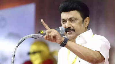 ‘More questions than answers’: MK Stalin criticizes CEC press meet; TN CM raises 7 questions on voter rolls and transparency | India News