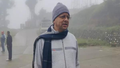 Uttarakhand CM Dhami praises self-help group women, sanitation workers during Bhararisain visit | India News