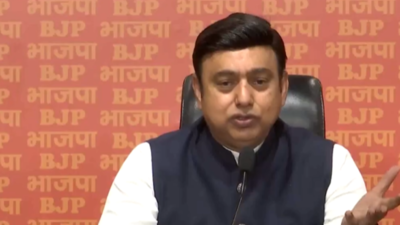 BJP says eco parameters up, promises vibrant Diwali | India News