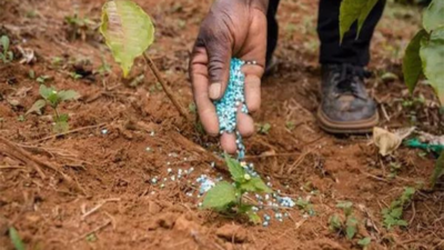 Parliament panel slams fertiliser sector’s ‘Non-Strategic’ tag, calls it misaligned with Atmanirbhar Bharat goals | India News