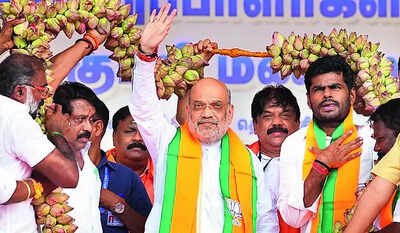 Oppositon VP pick has ‘ideological support’ for Naxalism: Shah | India News