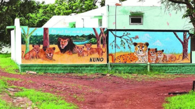 Gujarat’s pride to remain MP’s envy? Plan to bring lions to Kuno likely shelved | India News