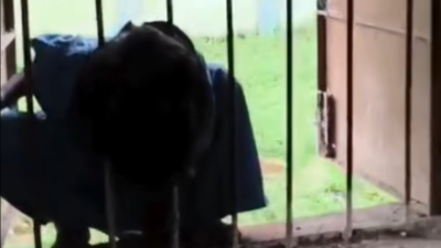 Odisha school shocker: Class 2 girl falls asleep, spends night in locked classroom; found with head stuck in window grill in escape bid; headmaster suspended | Bhubaneswar News