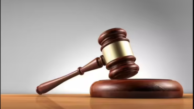 HC cites driver’s intent to save stranger, reduces his sentence | India News