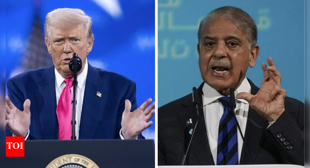 Oil, crypto or rare earths? What’s behind Donald Trump’s new-found love for Pakistan