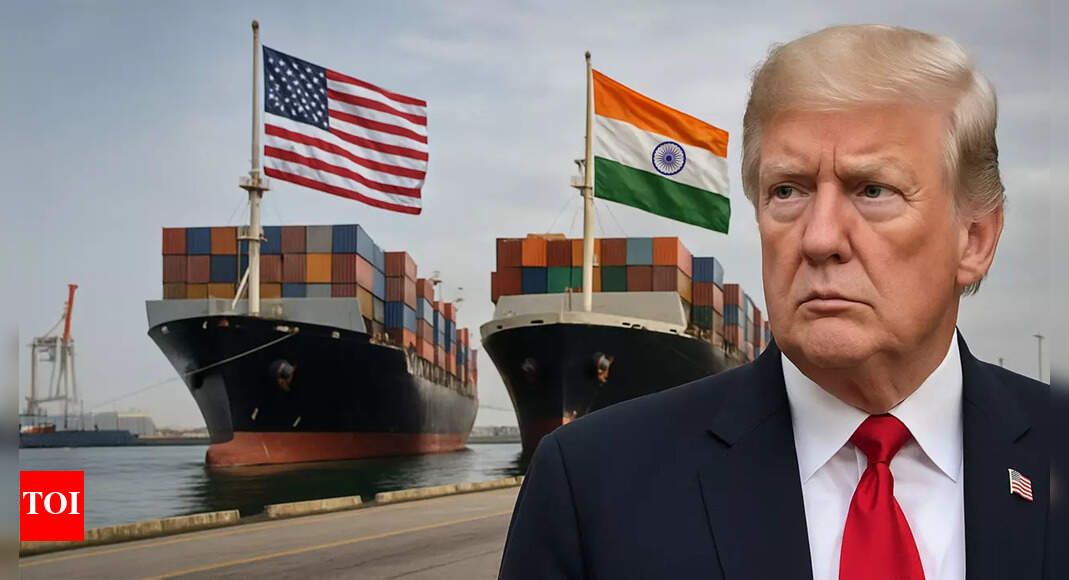 ‘Maharaja tariffs’: Trump’s trade adviser Peter Navarro’s fresh attack on India over Russian oil; calls it ‘laundromat’ for Moscow