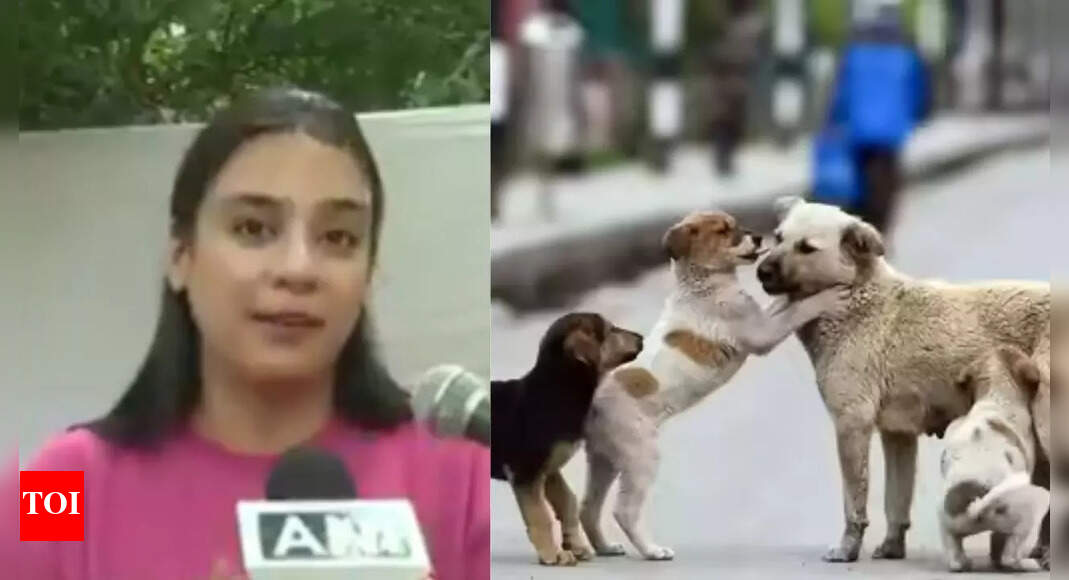Supreme Court stray dog verdict: ‘Our babies got justice’, rejoice animal activists | Delhi News