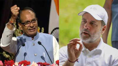 ‘India, a long live economy’: Shivraj slams Trump’s ‘dead economy’ remark; cites new GDP data | India News