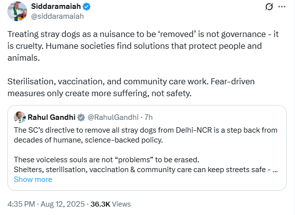 ‘Vaccination, community care work’: Siddaramaiah backs Rahul Gandhi on stray dogs order; opposes ‘fear-driven’ measures | India News