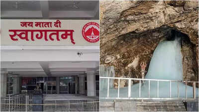 Guidelines issued for welfare of horses, mules, donkeys engaged during religious pilgrimages | India News