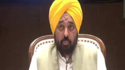 Punjab CM Bhagwant Mann announces flood relief; aid for farmers, families of victims | India News