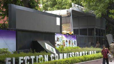 Bihar SIR: EC publishes final electoral roll; how voters can check details | India News