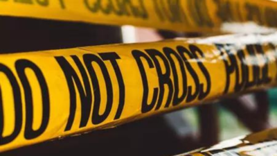 Raipur to have police commissionerate system from November 1 | India News