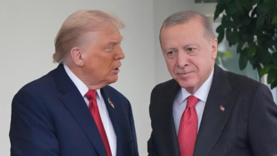 ‘Knows better than anybody’: Trump’s veiled jibe at Erdogan over ‘rigged elections’ in his presence – watch