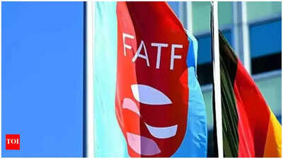 FATF lauds work of MHA’s portal for international cooperation | India News