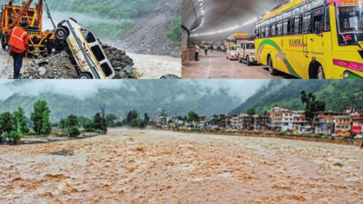 Over 300 dead in Himachal Pradesh as heavy rains trigger landslides, floods; 16 die in Manimahesh Yatra | Shimla News