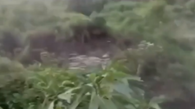 Himachal Pradesh landslide: Massive section of hill collapses near Chaukar village — watch | Shimla News
