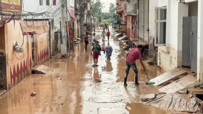 Flood: Patiala boy dies after drowning in Ambala, missing man found dead, two brick kiln labourers washed away | India News