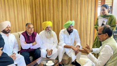 Illegal mining triggers flood fury in Punjab: Shivraj Singh Chouhan | India News