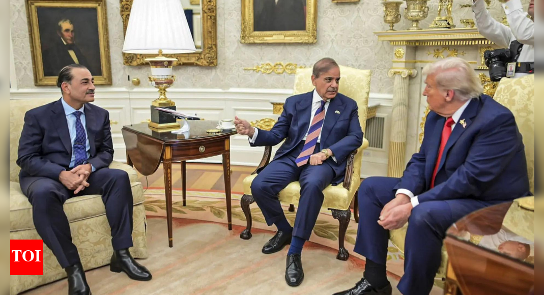 Pakistan pitches port on Arabian Sea to US; eye on minerals hub development: Report