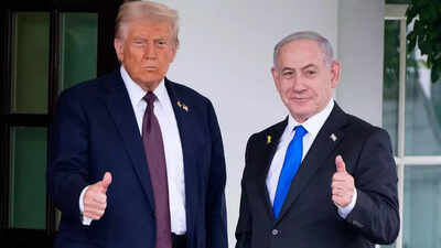 ‘This is a win. Take it’: Donald Trump ‘rebuked’ Bibi for being ‘negative’ on call – report