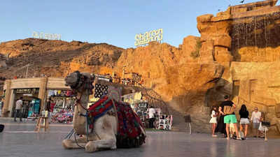 Talks begin in Egypt on US plan to end Gaza war