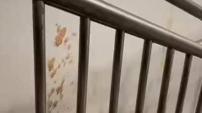 ‘Kuch toh sharam karlo Bihar walo’: Patna metro station filled with gutka stains three days post inauguration; video viral | India News