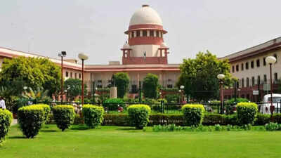 ‘Love, not lust’: Supreme Court lets off Pocso convict; law must yield to the cause of justice, says apex court | India News