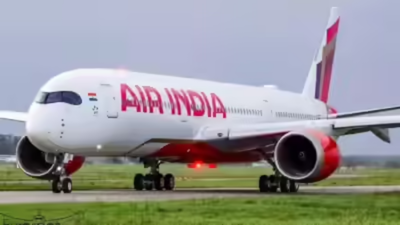 Mid-air clash: UP MLA Rakesh Pratap Singh pushed by passenger on Air India flight; flyer booked | Lucknow News