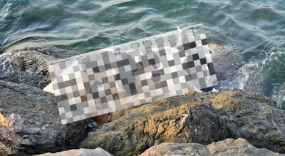 Dubai beachgoers shocked after dead cow washes ashore; municipality removes carcass and reassures public safety | World News