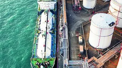 Eight Indians, 10 firms face US sanctions over Iran oil link | India News